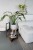 sklejkie-wooden-plant-stand-06