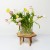 sklejkie-wavy-plant-stand-16×30-4