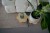 sklejkie-wooden-plant-stand-20
