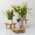 sklejkie-wavy-plant-stand1