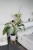 sklejkie-wooden-plant-stand-07