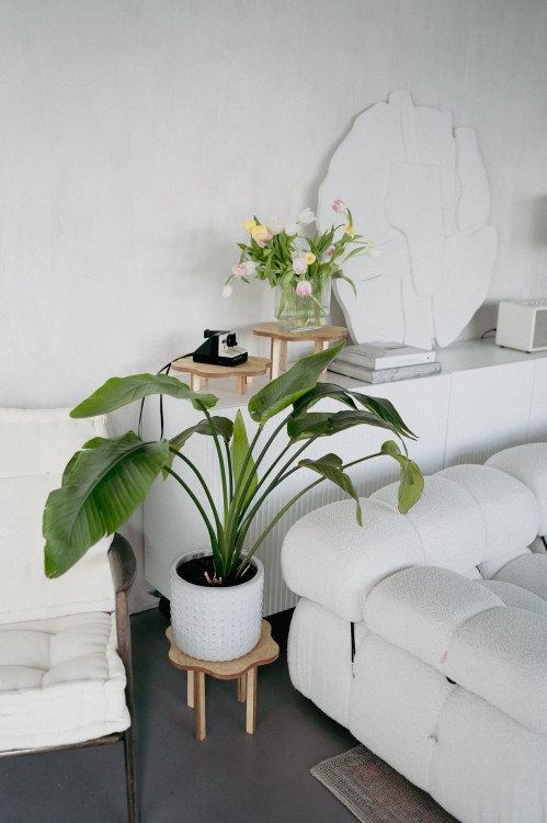 sklejkie-wooden-plant-stand-07