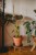 sklejkie-plant-stake-climber-pole-long-wave1