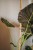 sklejkie-plant-stake-climber-pole-long-wave-2