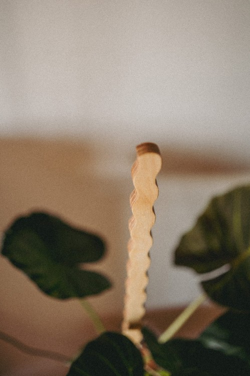 sklejkie-plant-stake-climber-pole-long-wave-3