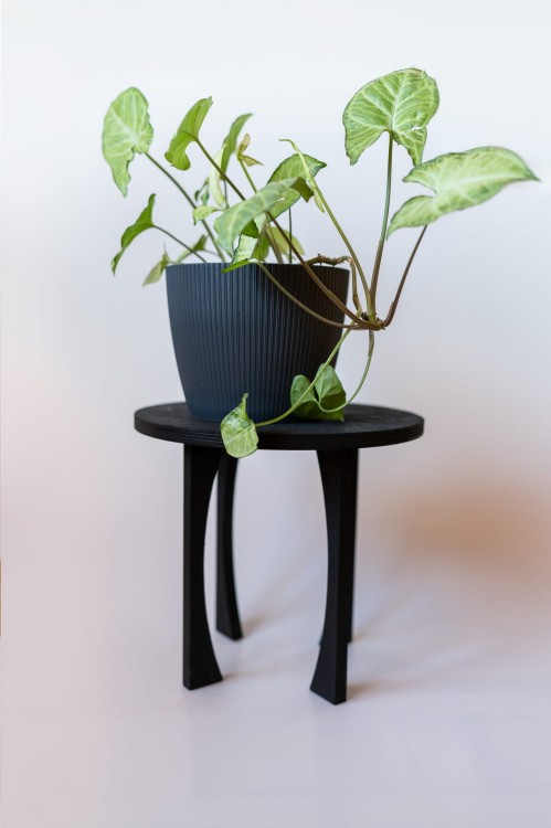 sklejkie-meduza-black-30×25