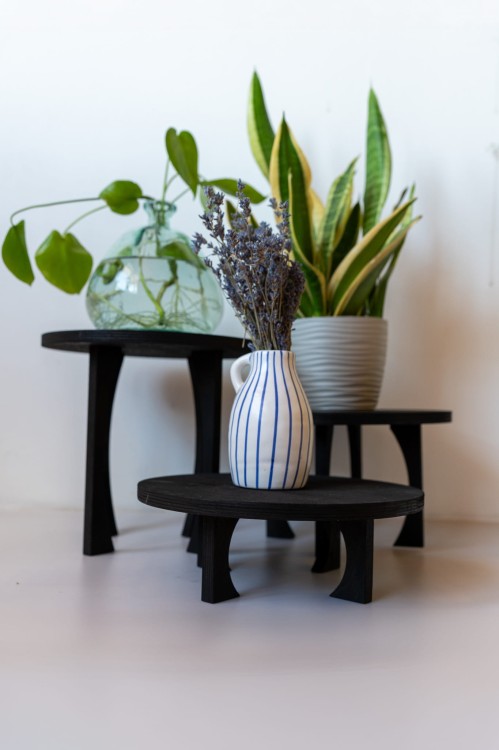 sklejkie-wide-meduza-plant-stand2