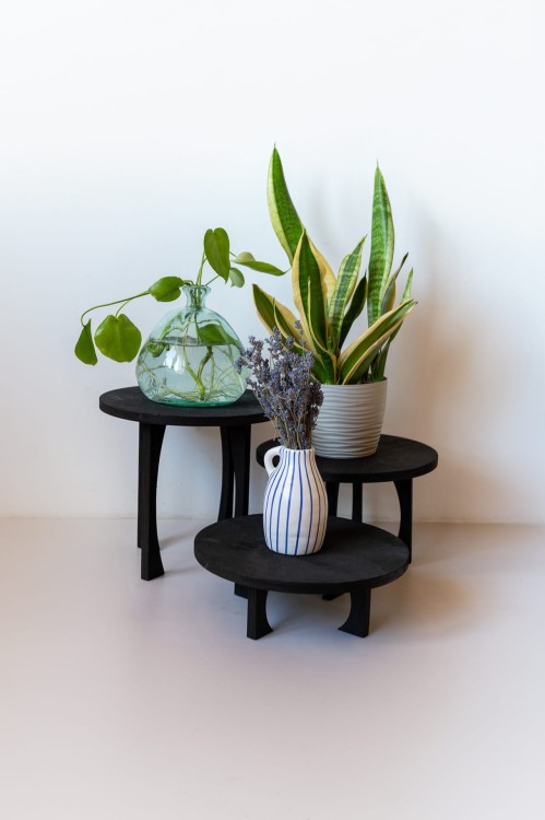 sklejkie-wide-meduza-plant-stand1