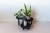 sklejkie-wide-meduza-plant-stand