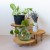 sklejkie-wide-plant-stand