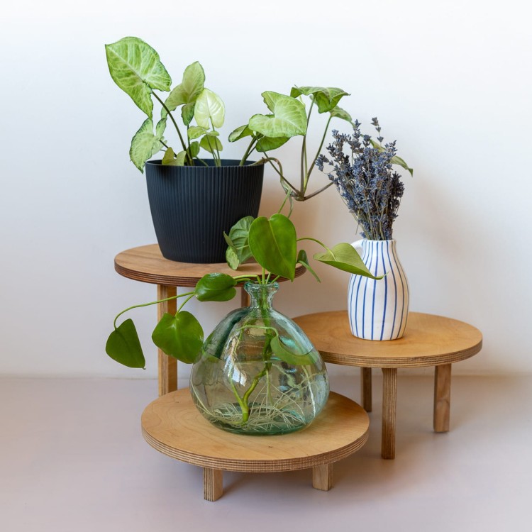 sklejkie-wide-plant-stand