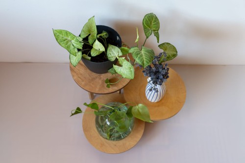 sklejkie-wide-plant-stand3