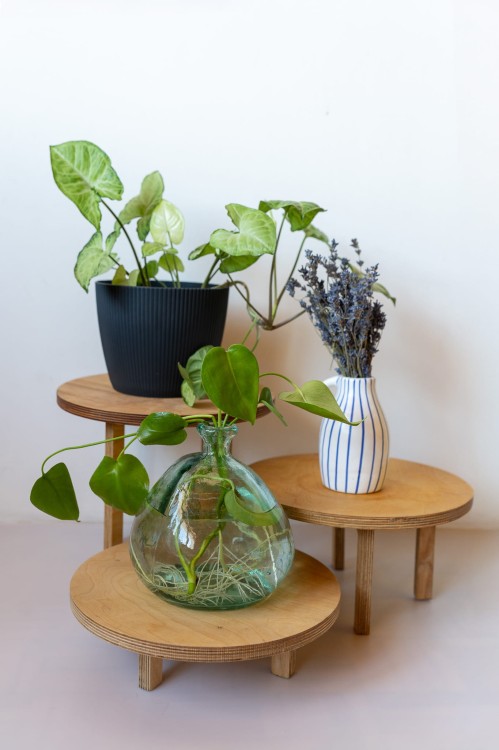 sklejkie-wide-plant-stand2