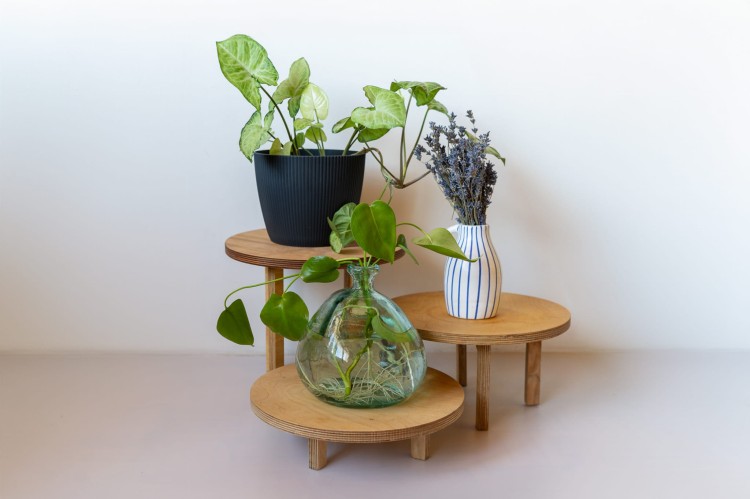 sklejkie-wide-plant-stand