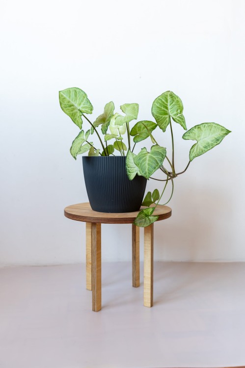 sklejkie-plant-stand-30cm-high
